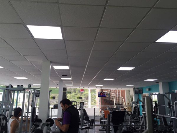 gym02